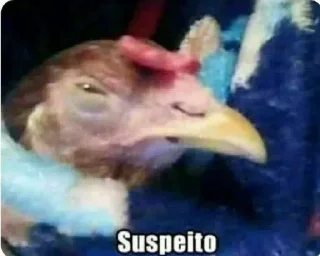 🐔 Memes e Zueras, стикер Telegram 6 из 63