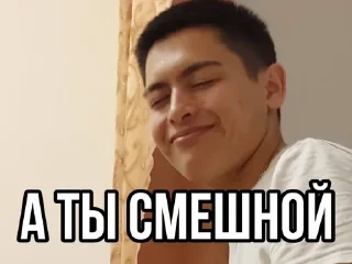 Sticker from СВИНЬИ