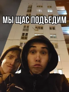 Sticker from СВИНЬИ