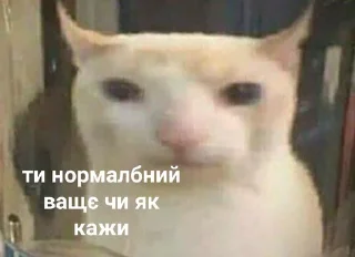 Sticker from жибий рьір