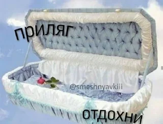 🌟 emoji - жыбий рыр 🤲🏻 Telegram sticker 4 of 53