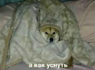 🌟 emoji - жыбий рыр 🤲🏻 Telegram sticker 24 of 53