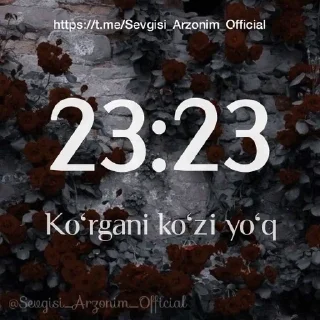 😵‍💫 emoji @Sevgisi_Arzonim_Official Telegram sticker 24 of 24