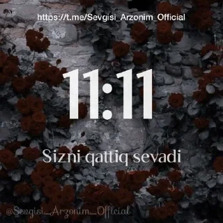 💙 emoji @Sevgisi_Arzonim_Official Telegram sticker 12 of 24