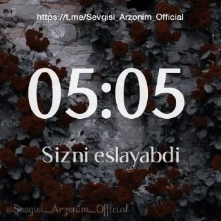 🙂 emoji @Sevgisi_Arzonim_Official Telegram sticker 6 of 24
