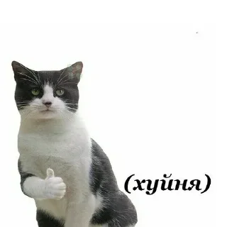 👍 emoji Больше стикеров: @sticerru Telegram sticker 16 of 19