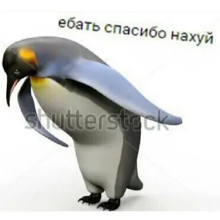 👌 emoji Больше стикеров: @sticerru Telegram sticker 8 of 19