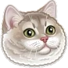 🐱 emoji kakashki Telegram sticker 18 of 111