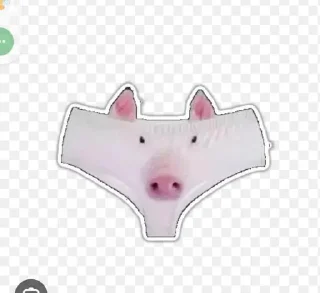⭐️ emoji Свиньи 🐷❤️💪🏿 @Stikerhi_bot Telegram sticker 13 of 14