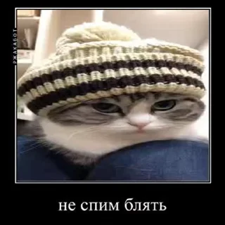 Sticker from Лучьше стикеры - @lovesticers
