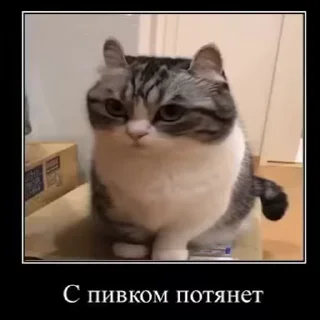 Sticker from Лучьше стикеры - @lovesticers