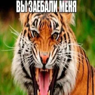 😡 emoji Больше стиков тут: @stikery4 Telegram sticker 21 of 85