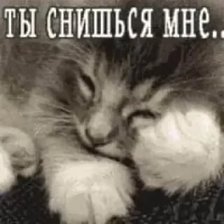 🧺 emoji Больше стиков тут: @stikery4 Telegram sticker 5 of 85