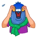 Sticker from Mr. Pigeon