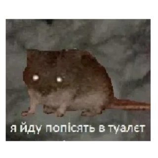 ☠️ emoji Не заходи сюда👉🏻 @stikiin Telegram sticker 2 of 27