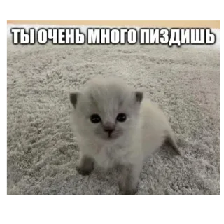👁️ emoji Не заходи сюда👉🏻 @stikiin Telegram sticker 3 of 27