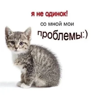 🌟 emoji Больше стикеров тут: @stikery_emodzi_memy Telegram sticker 19 of 34