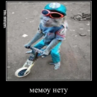 😄 emoji Как обычно-~АХ~ ДЯДЯ СЕРГЕЙ ~АХ~НЕ ТАК ГЛУБОКО Telegram sticker 22 of 45