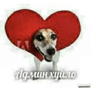 Sticker from РОСТИК ЕБАНЫЙ ПИДОРАС, ПЕТУХ, ГОНДОН, БЕЗ ЧЛЕНА