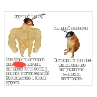 🫥 emoji МУРАВЬИ Telegram sticker 4 of 10