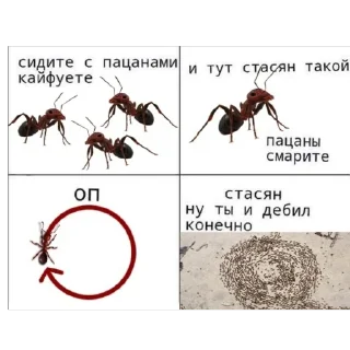 🫥 emoji МУРАВЬИ Telegram sticker 10 of 10
