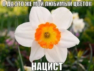 Sticker from Просто так