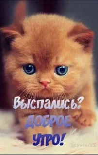 Sticker from нежности
