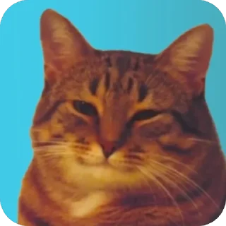 🫥 emoji 356,)₽;(7₽?::34,),),₽,6; Telegram sticker 21 of 120