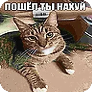 Sticker from 356,)₽;(7₽?::34,),),₽,6;