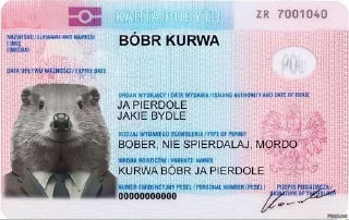 Sticker from Всякое