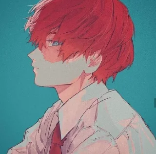 「 𝙎𝙝𝙤𝙩𝙤 𝙏𝙤𝙙𝙤𝙧𝙤𝙠𝙞. 」(´･ᴗ･ ` ) sticker 4