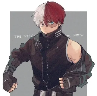 🌟 emoji 「 𝙎𝙝𝙤𝙩𝙤 𝙏𝙤𝙙𝙤𝙧𝙤𝙠𝙞. 」(´･ᴗ･ ` ) Telegram sticker 17 of 50