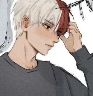 🌟 emoji 「 𝙎𝙝𝙤𝙩𝙤 𝙏𝙤𝙙𝙤𝙧𝙤𝙠𝙞. 」(´･ᴗ･ ` ) Telegram sticker 8 of 50