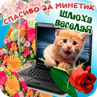 Sticker from обоссанный угол :@fStikBot