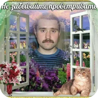 Sticker from обоссанный угол :@fStikBot