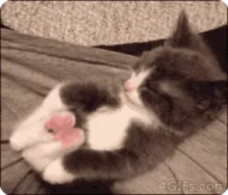 🌟 emoji Джу😍 Telegram sticker 19 of 50