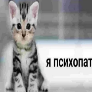 Sticker from Расширение состояния