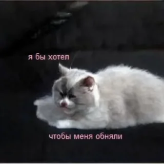 🤗 emoji Расширение состояния Telegram sticker 8 of 37