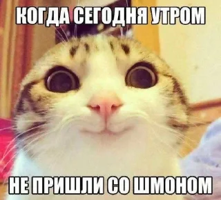 🥹 emoji Расширение состояния Telegram sticker 17 of 37