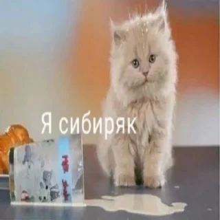 🌏 emoji Расширение состояния Telegram sticker 7 of 37