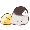 🤩 emoji •цыпа чиза Telegram sticker 22 of 48
