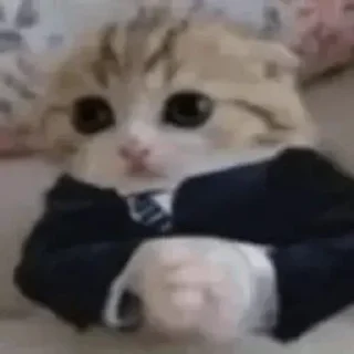 🌟 emoji загадочная ахинея Telegram sticker 11 of 50