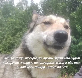 🌟 emoji загадочная ахинея Telegram sticker 2 of 50