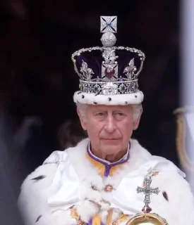 🌟 emoji Bilkis Telegram sticker 11 of 69