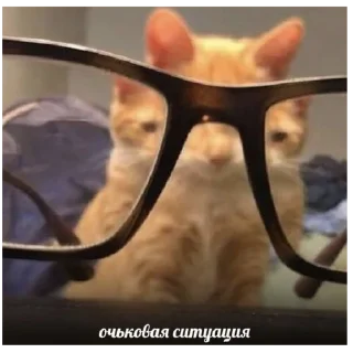 👓 emoji котеки от @vladimir0vnaaa Telegram sticker 8 of 12
