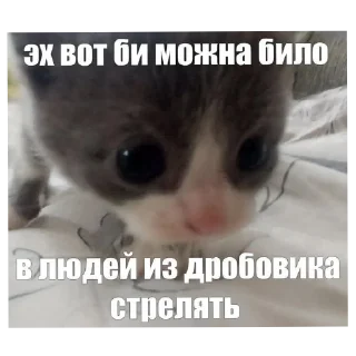 Sticker from котеки