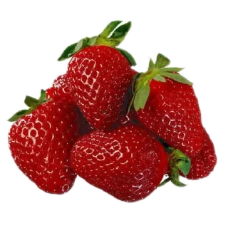 🍲 emoji Yay yay yep yep Telegram sticker 8 of 27