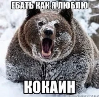 🌟 emoji Больше стиков тут: @stikery4 Telegram sticker 17 of 38