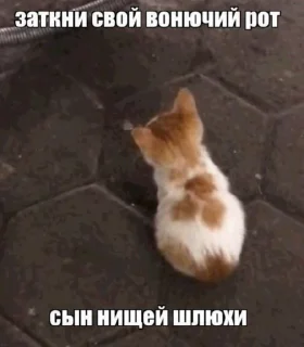 🌟 emoji Больше стиков тут: @stikery4 Telegram sticker 8 of 38