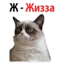 👌 emoji Emotions @stickersb2b Telegram sticker 17 of 59